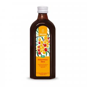 Bio-Sanddornsaft 250ml