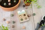 Blossombs Seed Bombs - Mini-Geschenkset (4 Stück) - originelles und praktisches Geschenk in einem