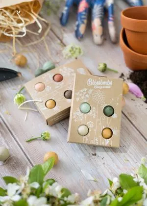 Blossombs Seed Bombs - Mini-Geschenkset 