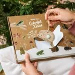 Blossombs Samenbomben - Geschenkset mit Weihnachtsdekoration (7 Stück) - originelle Weihnachtsdekoration