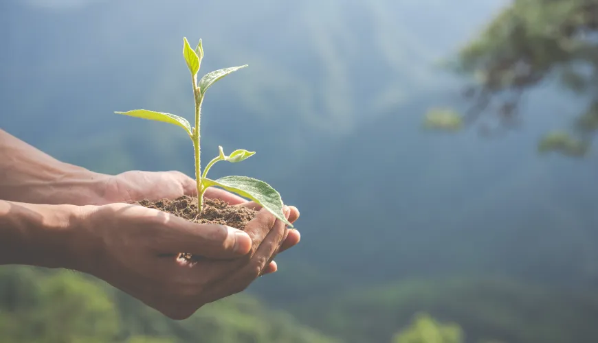 Was ist Greenwashing und wie erkennt man es?