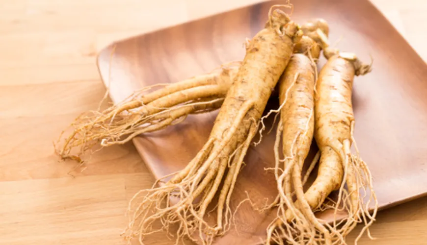 Welcher Ginseng gibt Ihnen Energie und verbessert Ihre Leistung?